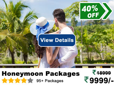 Honeymoon-Packages.jpg